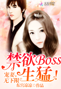 禁欲Boss生猛！宠妻，无下限