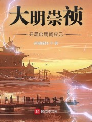 大明崇祯：开局启用阎应元